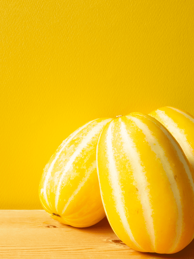 오해야 오해! 참외의 억울한 누명