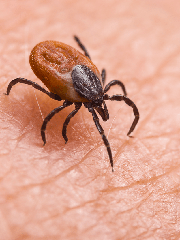 몸살에 열나는데 감기가 아니었네!!!