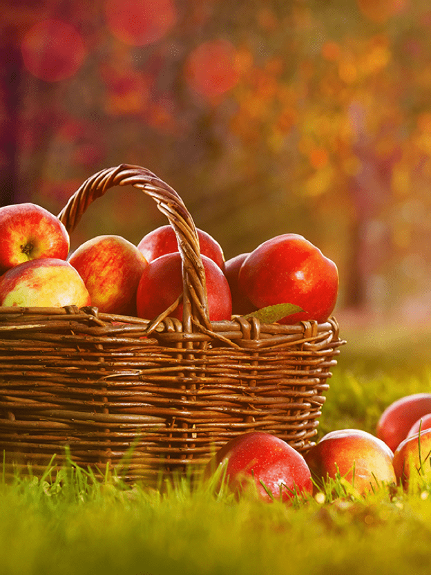 맛있는 가을 속으로 풍덩