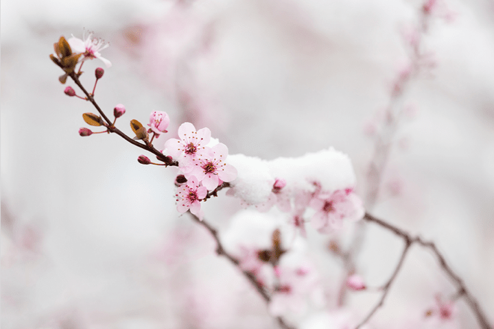 건강하게 맞이해 봄~~~!