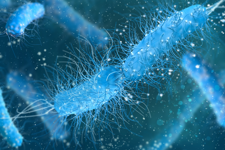 위암의 발암 인자인 익숙한 이 균!