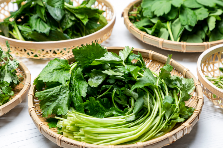 봄기운과 영양을 가득 담은 봄나물을 먹어보세요!